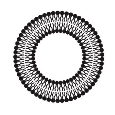 Customer_CureSuport_Logo